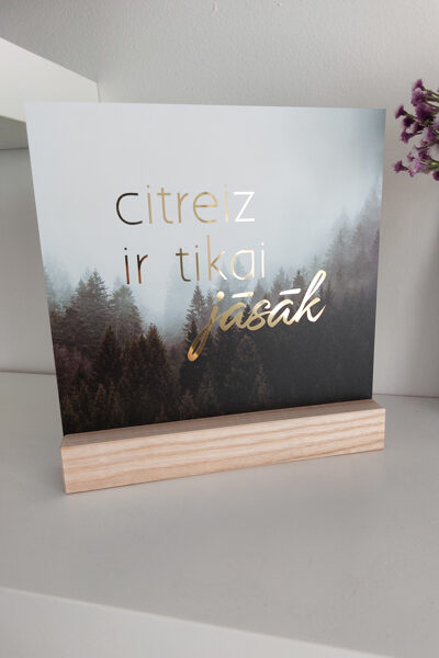 Citreiz ir tikai jāsāk